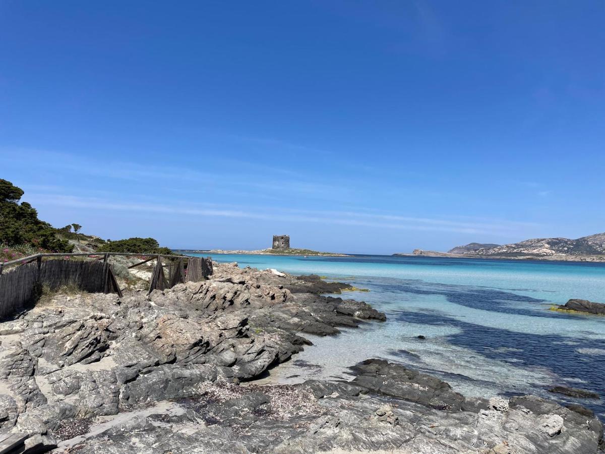 I Pescatori Di Stelle-L12 Altair Villa Stintino Exterior foto