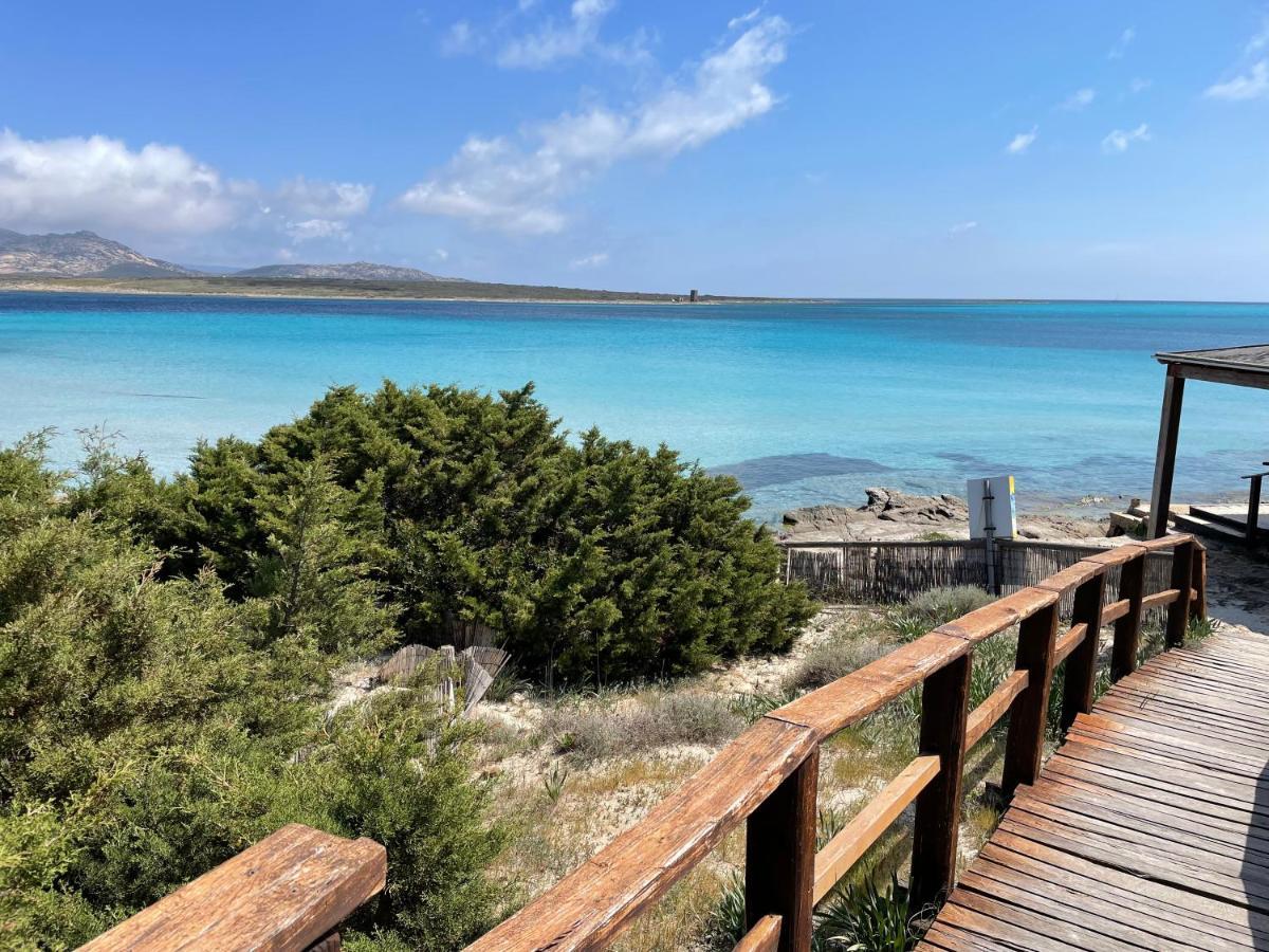 I Pescatori Di Stelle-L12 Altair Villa Stintino Exterior foto