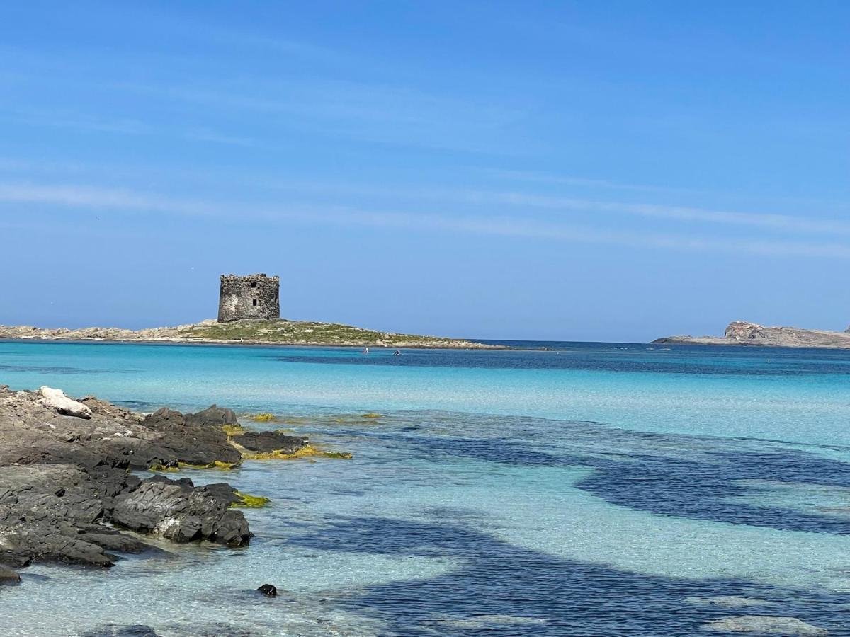 I Pescatori Di Stelle-L12 Altair Villa Stintino Exterior foto