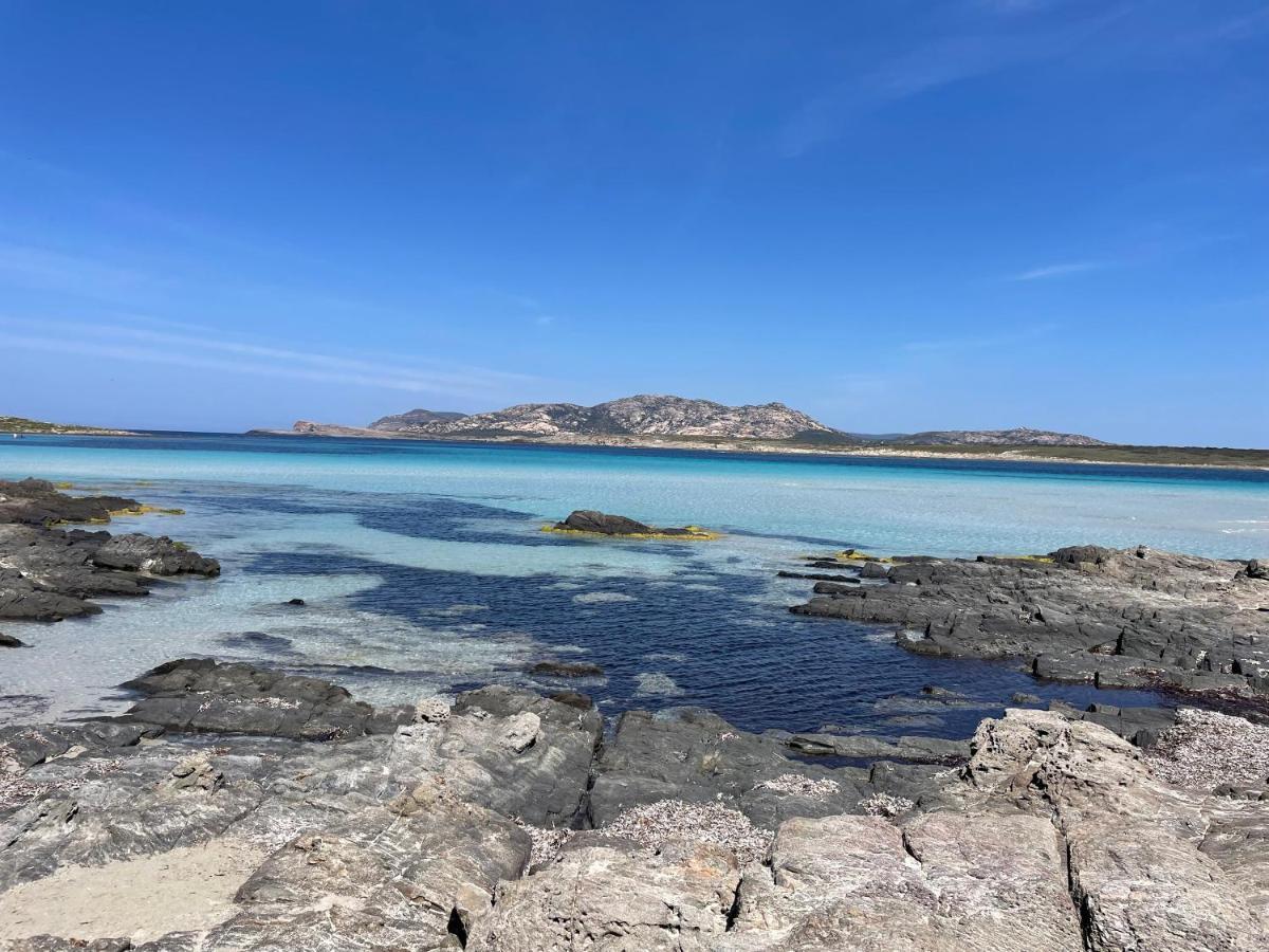 I Pescatori Di Stelle-L12 Altair Villa Stintino Exterior foto