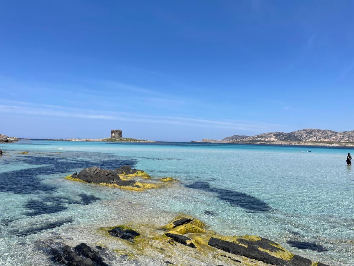 I Pescatori Di Stelle-L12 Altair Villa Stintino Exterior foto